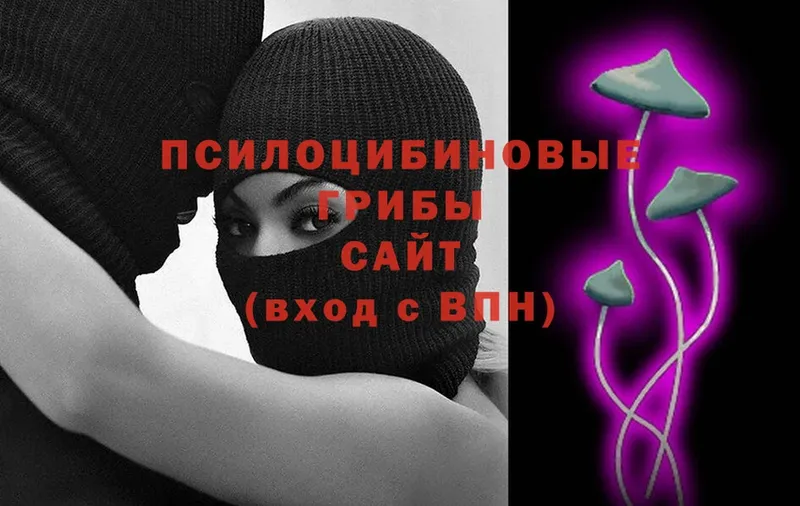 blacksprut   Волчанск  Галлюциногенные грибы Magic Shrooms 